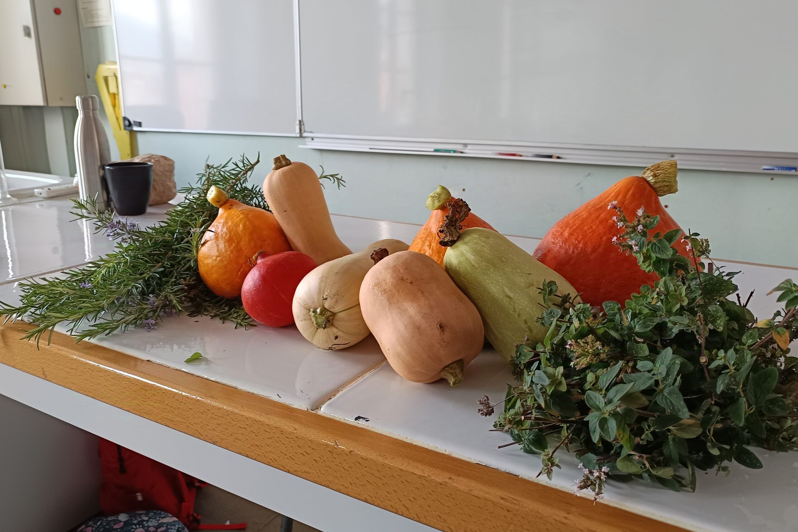 You are currently viewing L’automne au club Potager