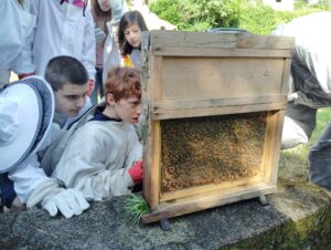 Lire la suite à propos de l’article Le club potager et les éco délégués apprentis apiculteurs