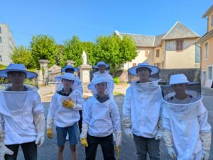 Lire la suite à propos de l’article Des abeilles et des plantes