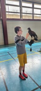 Lire la suite à propos de l’article Des fauconniers au collège